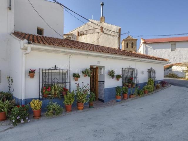 Cueva El Murallon Benamaurel 외부 사진